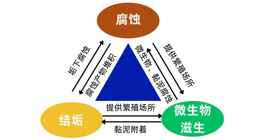 1755480417710354.jpg